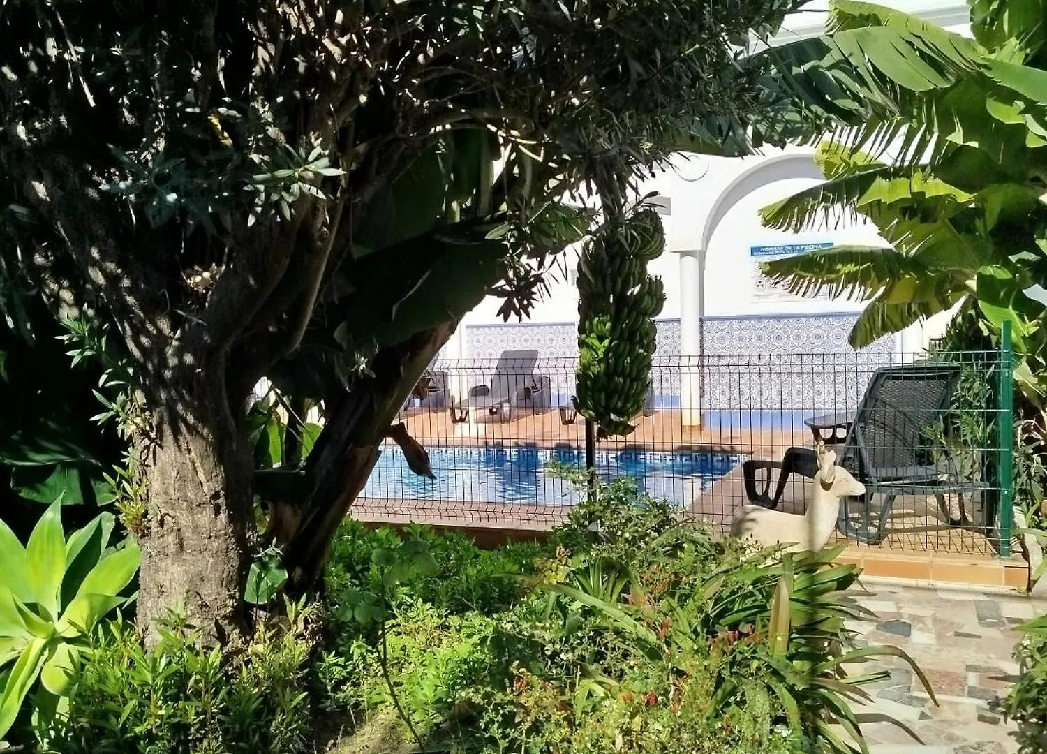 Апартаменты El Jardin BeНерха  Нерха